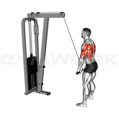 Straight Arm Pulldown
