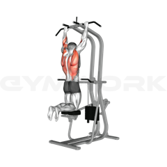 Assisted Pull-Up