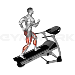 Incline Running (Treadmill)