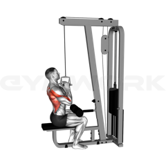Close-Grip Lat Pulldown