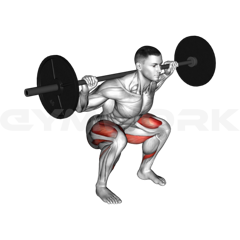 High Bar Squat