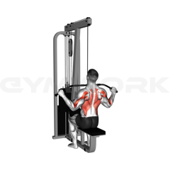 Wide Grip Lat Pulldown