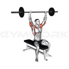 Seated Overhead Press