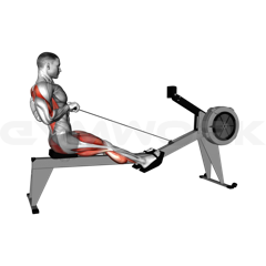 Rowing Machine