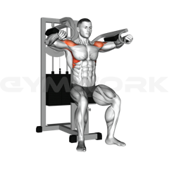 Side Lateral Raise Machine