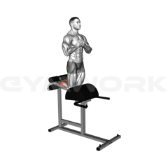 Glute Ham Raise