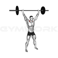 Overhead Shrug