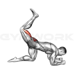 Donkey Kick