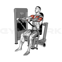 Chest Press Machine