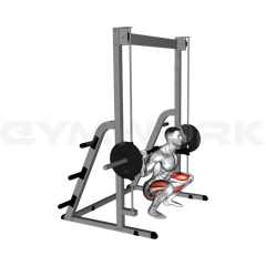Smith Machine Squat
