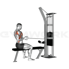 Single-Arm Seated Cable Row