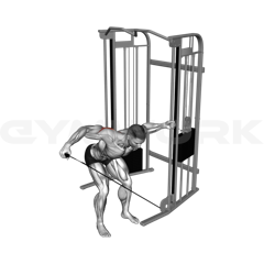 Single-Arm Cable Reverse Fly