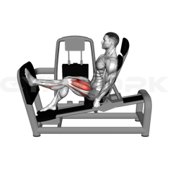Single-Leg Press