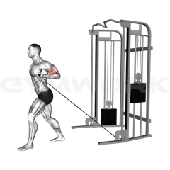 Single-Arm Cable Curl