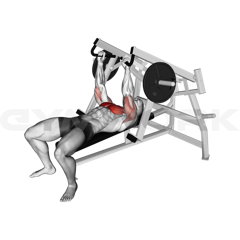Machine Bench Press