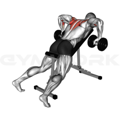 Incline Dumbbell Row