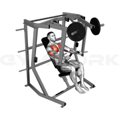Decline Chest Press