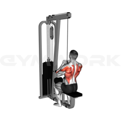 Mag Grip Lat Pulldown