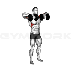 Dumbbell Upright Row
