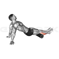 Foam Roll Calves