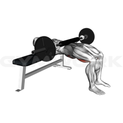 Hip Thrust Machine