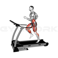 Cardio