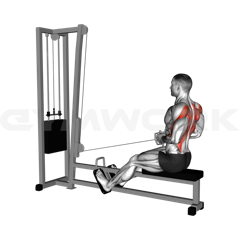Seated Cable Row