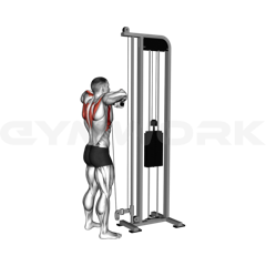 Cable Upright Row