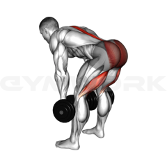 Dumbbell Romanian Deadlift