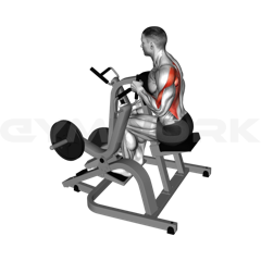 Single-Arm Seated Row