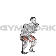 Band Squat