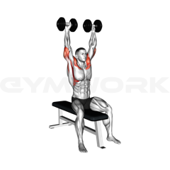 Dumbbell Shoulder Press