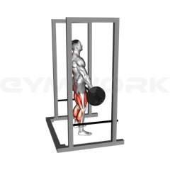 Rack Pull