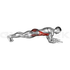 Plank