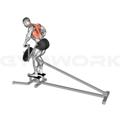 T-Bar Row
