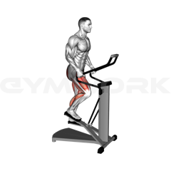 Stepper
