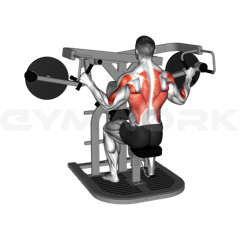 Wide Pulldown Rear