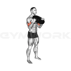 Plate Curl