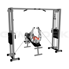 Flat Bench Cable Fly