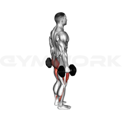 Dumbbell reverse lunge