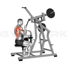 Single-Arm Pulldown