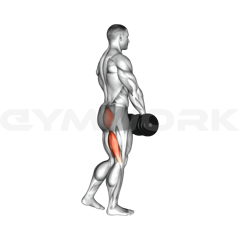 Dumbbell Single Leg Deadlift