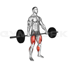 Snatch Deadlift