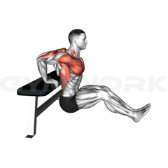 Bench Dips