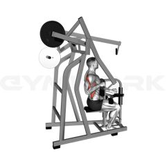 Single-Arm High Row