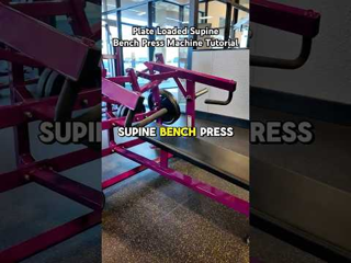 Machine Bench Press
