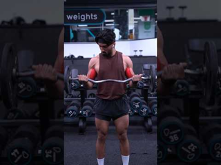 EZ-Bar Curl