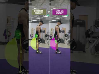 Dumbbell Stiff-Leg Deadlift