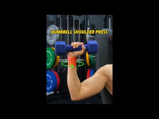 Seated Dumbbell Overhead Press