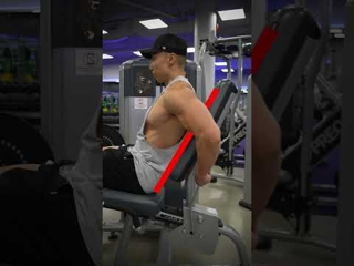 Seated Leg Curl